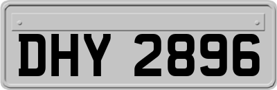 DHY2896