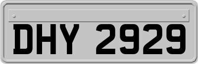 DHY2929