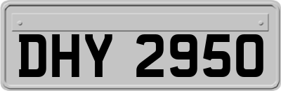 DHY2950