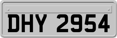 DHY2954