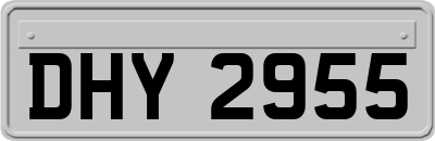 DHY2955