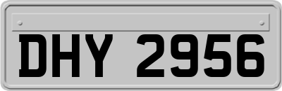 DHY2956