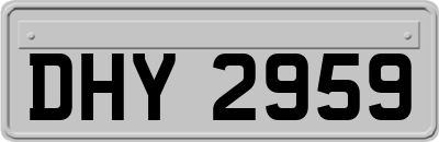 DHY2959