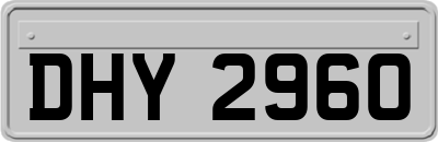 DHY2960