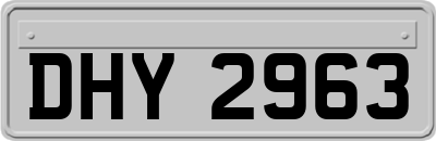 DHY2963
