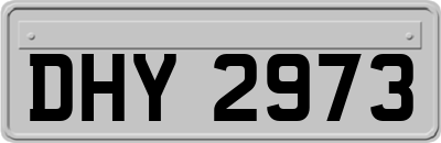 DHY2973