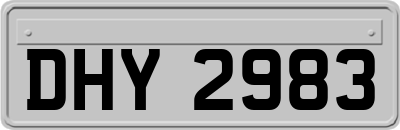 DHY2983