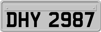DHY2987