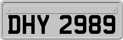 DHY2989