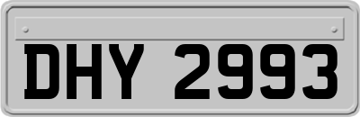 DHY2993