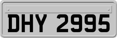 DHY2995