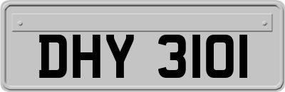 DHY3101