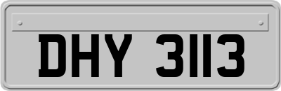 DHY3113