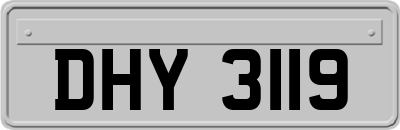 DHY3119