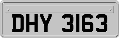 DHY3163