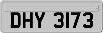 DHY3173