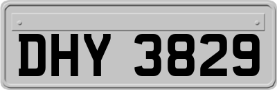 DHY3829
