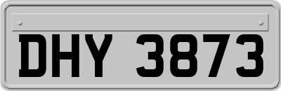 DHY3873