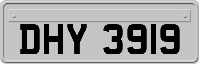 DHY3919