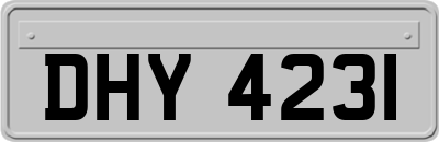 DHY4231