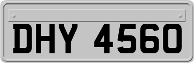 DHY4560