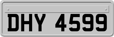 DHY4599