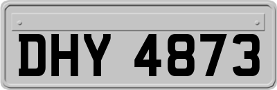 DHY4873