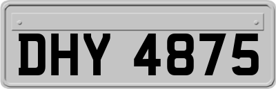 DHY4875