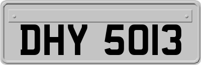 DHY5013