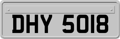 DHY5018