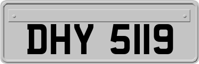 DHY5119