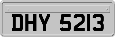 DHY5213