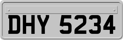 DHY5234