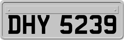 DHY5239