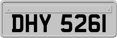 DHY5261