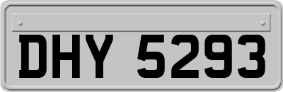DHY5293