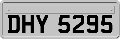 DHY5295