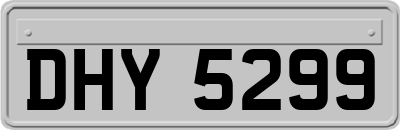 DHY5299