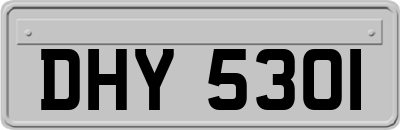 DHY5301