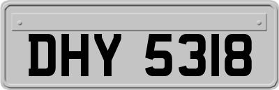 DHY5318