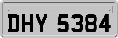 DHY5384
