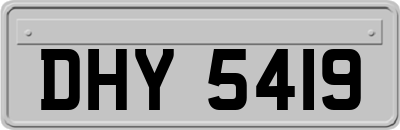 DHY5419