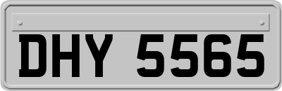 DHY5565