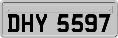 DHY5597