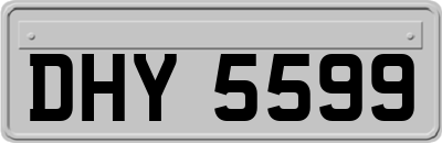 DHY5599
