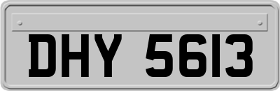 DHY5613
