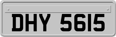 DHY5615