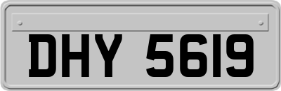 DHY5619