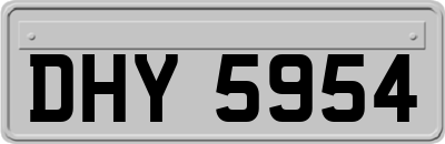 DHY5954