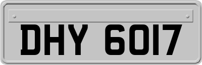 DHY6017